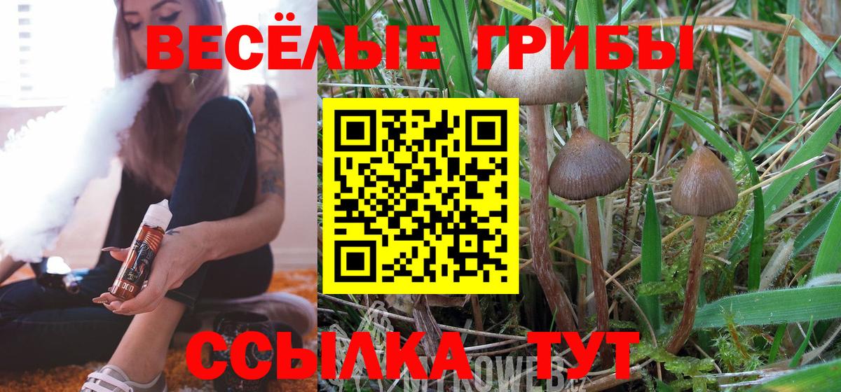 Псилоцибиновые грибы Psilocybine cubensis Борзя