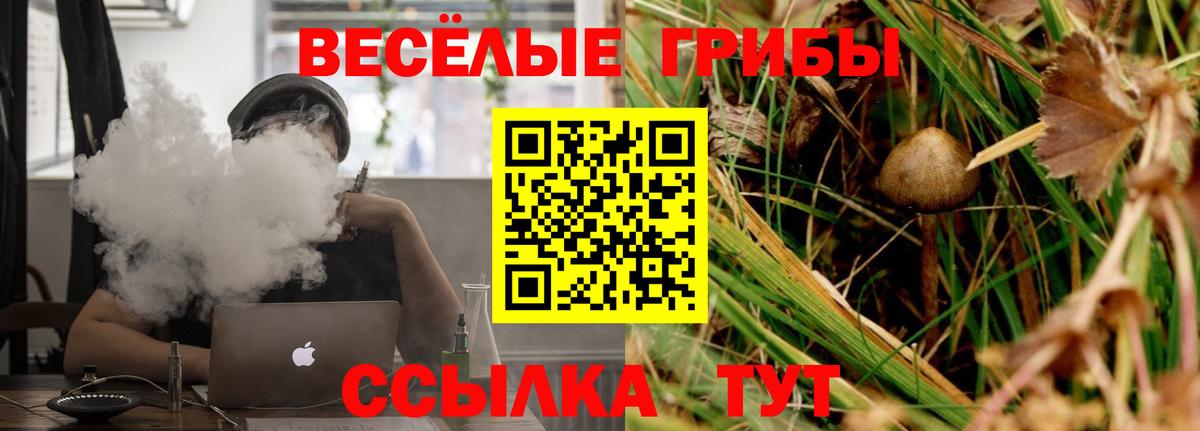 Галлюциногенные грибы мухоморы  Вход с VPN  Псилоцибиновые грибы ЛСД  Борзя 